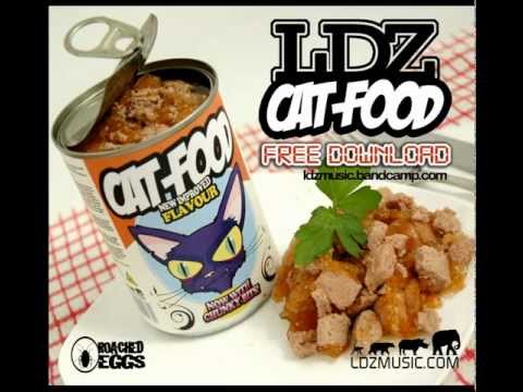 LDZ - Armoured Truck Riddem