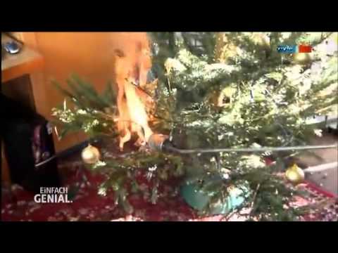 Wassernebel Feuerlöscher   MDR Einfach genial