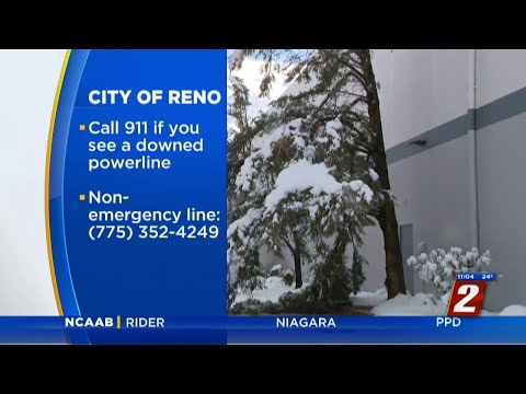 Reno, Sparks Cleaning Up Downed Trees After Winter Storm