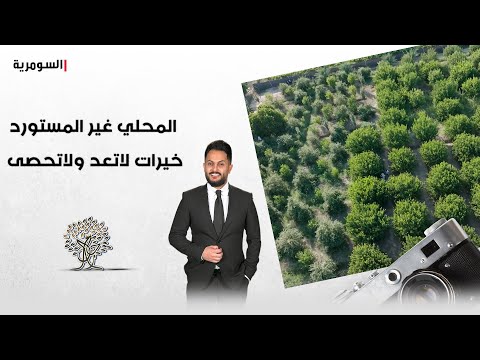 شاهد بالفيديو.. المحلي غير المستورد.. خيرات لا تعد ولا تحصى