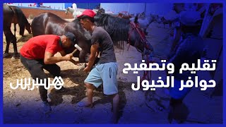 حرفة ورثها أبا عن جد من أجل أداء أفضل للدواب.. تقليم  وتصفيح حوافر الخيل في موسم مولاي عبد الله thumbnail