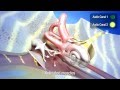 Listening Therapy With The Tomatis Effect 3D