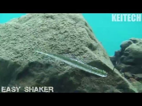 Силикон Keitech Easy Shaker 4.5" (10шт) 101: Green Pumpkin PP. - фото 1 - id-p1123774547