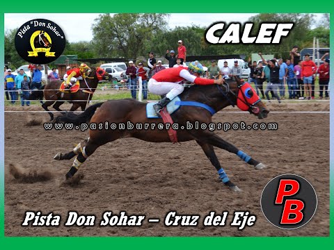 CALEF, Pista Don Sohar - Cruz del Eje (07-11-2021)
