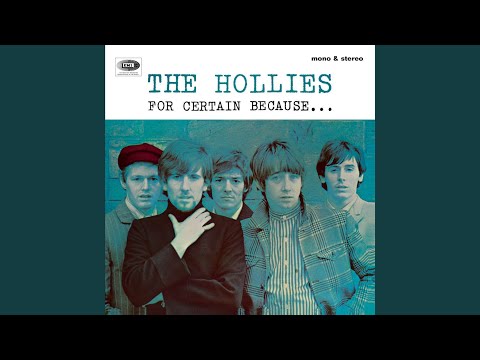 Suspicious Look in Your Eyes - The Hollies