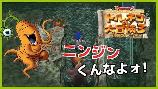 【トルネコの大冒険３】ポポロ異世界でニンジンにストーカーされ続けるファルコン竹田