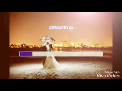 Zaj dab neeg tim vaj loog tsua karaoke