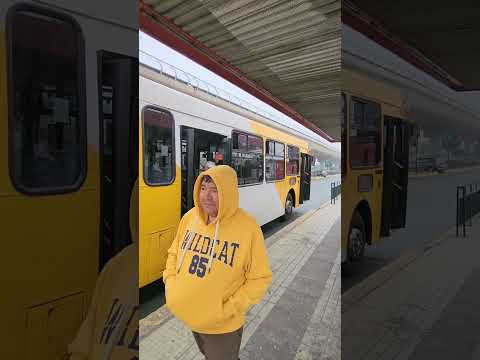 Micro amarilla F13 pasando por la Municipalidad de Puente Alto | Santiago