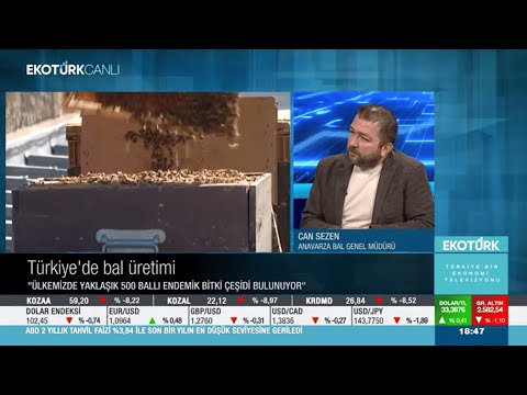 EKOTÜRK TV | Türkiye'de Bal Üretimi