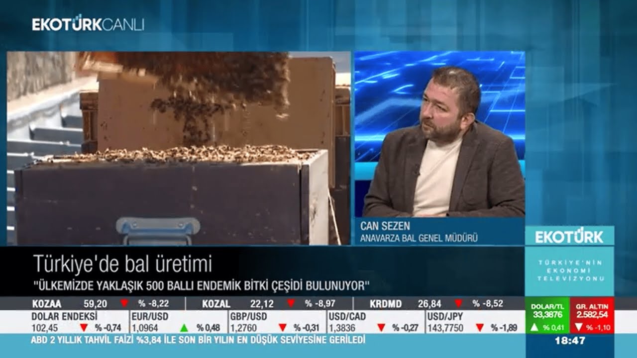 EKOTÜRK TV | Türkiye'de Bal Üretimi