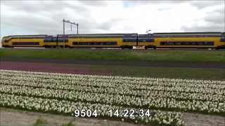preview picture of video 'trains and 2 or 3 trucks, flowerfields Hillegom, Holland 15 april 2014'