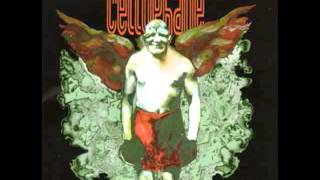 Cellophane  -  Dress the Day