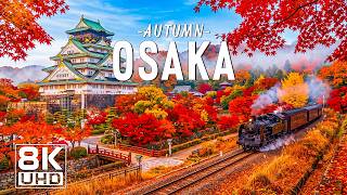 Osaka Like You've Never Seen Before 🇯🇵✨ | Japan's Hidden Gem | 8K UHD Scenic Relaxation