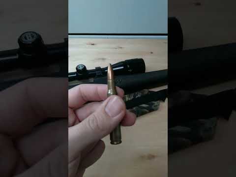 Hornady Custom Light