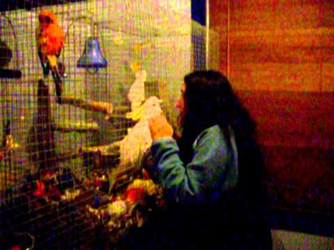 download lagu mp3 mp4 Katie And Jo, download mp3 Katie And Jo free downloadn, video klip Katie And Jo