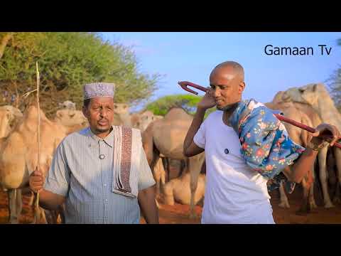 Geel iyo  dollar waa barnaamij xiisa leh