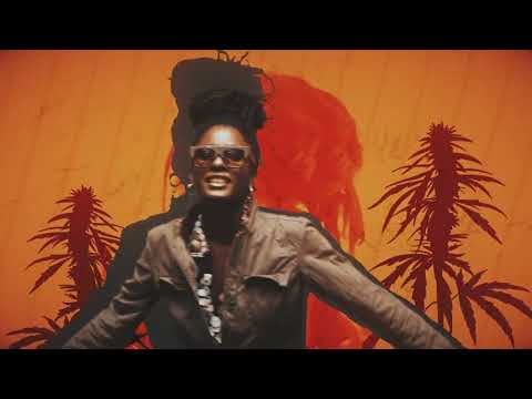 "Police in Helicopter" Yaadcore, Jah9, Subatomic Sound System