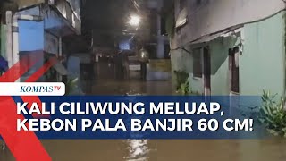 Download lagu Banjir Jakarta: Ratusan Rumah Terendam di Kebon Pala, Mampang hingga Kebayoran Baru | KOMPAS PAGI mp3