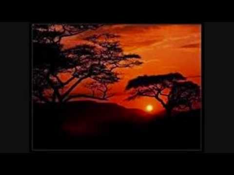 Shonky - Maraboutage (Original Mix)