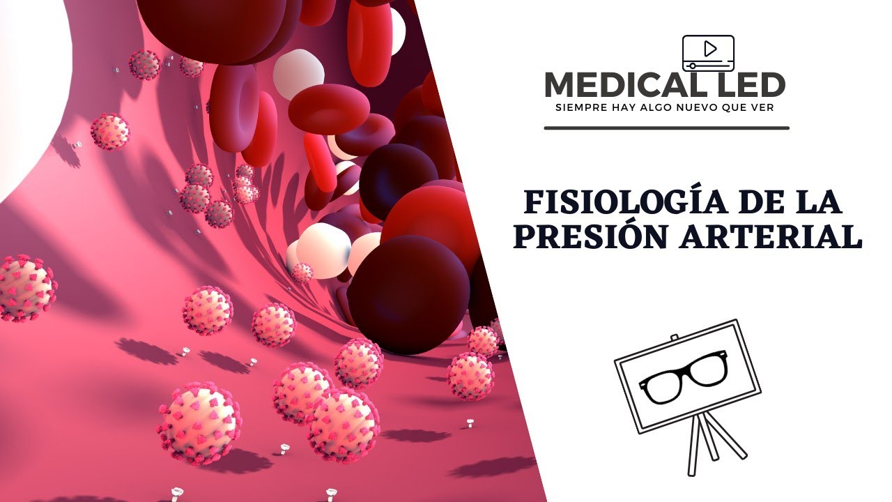FISIOLOGÍA DE LA PRESIÓN ARTERIAL: Determinantes y Mecanismos reguladores