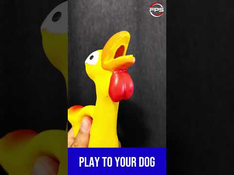 Squeaky Toy Sounds for Dogs #shorts  #dogsounds #toys