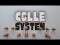 The Colle System Plans Structures Patterns Variations Chess Openings
