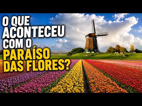 Vídeo sobre Holambra: Não vá para Holambra