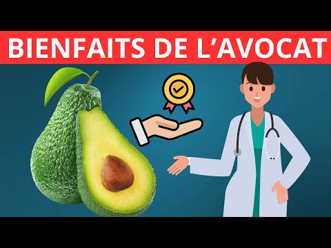 Bienfaits de l'avocat sur la santé