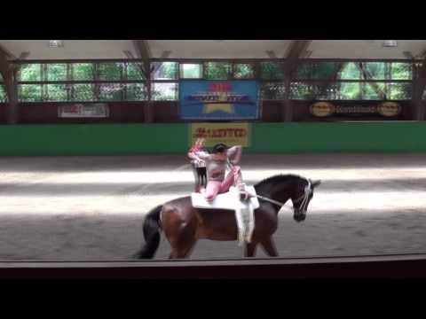 CVI Krumke 2016 Kristina Boe Kür