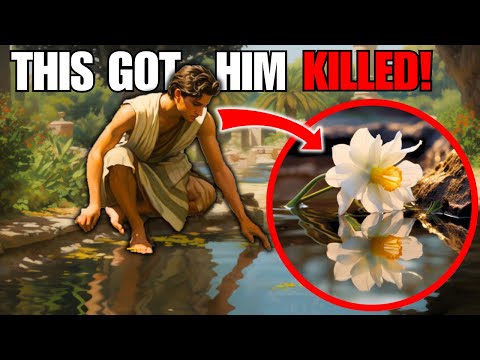 How the Narcissus Flower WAS BORN - An Ancient Greek Story - Narcissus and Echo