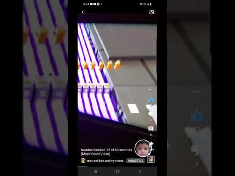 Moy 7 - Virtual Pet Game - 2021-12-02