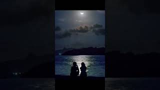 The Best Day - Taylor Swift #lyrics #songs #shortvideo #taylorswiftversion #taylorswift #taylor