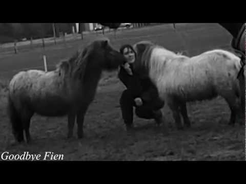 Goodbye Fientje, I will never forget you!