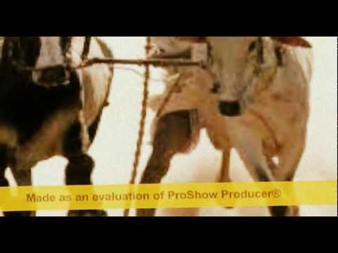 Cantica Nova       Išol mily orac