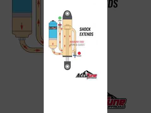 Bypass Shock in motion \ud83d\ude0e #shorts #shortsvideo