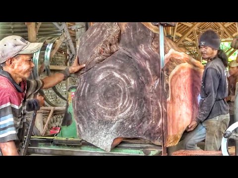 Cutting a massive log into beautiful solid wood planks at the sawmill