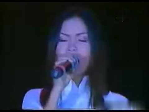 Những đứa con thành phố - Cẩm Ly