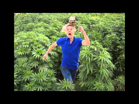 GoodLike raszta szíve