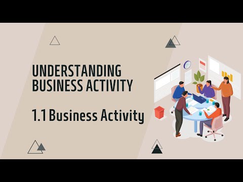 IGCSE Business Studies: Chapter 1.1 Business Activity