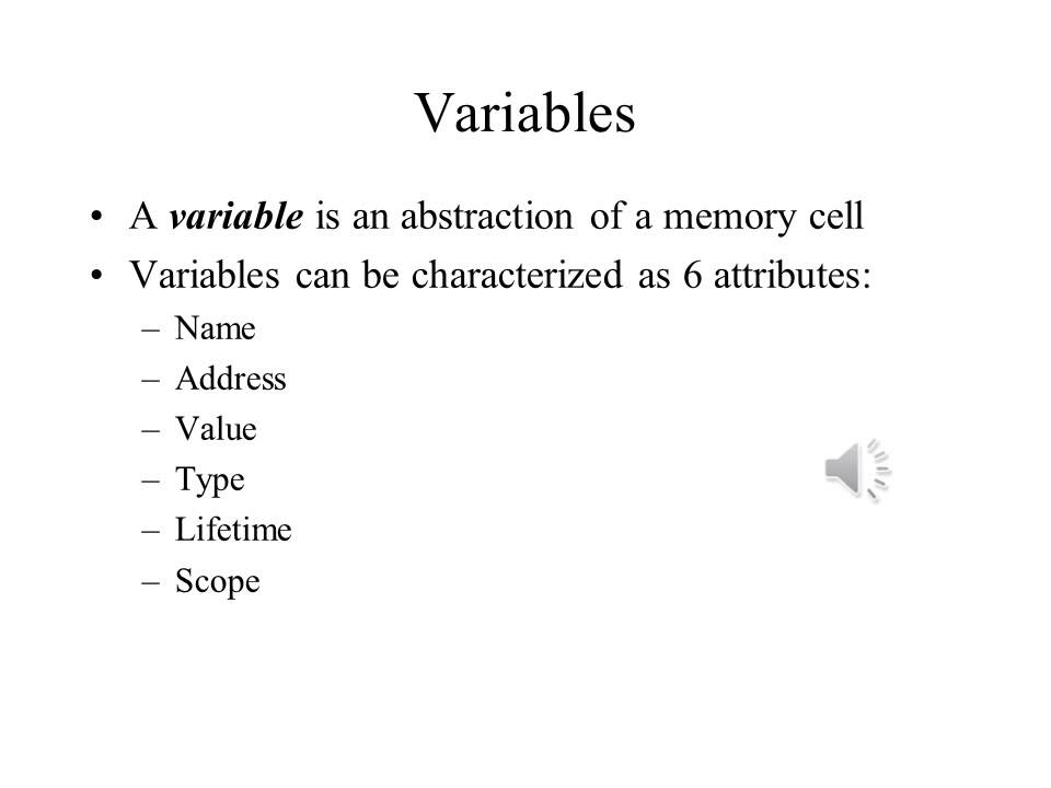 Understanding Variable Names and Data Types in Programming Languages ...