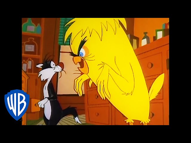 Vídeo relacionado con Looney Tunes Tweety Cute From Every Angle Camiseta