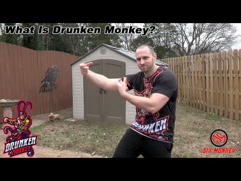 What is Drunken Monkey Kung Fu?