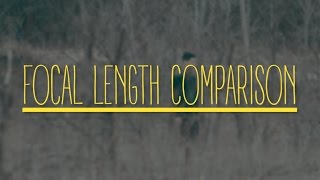 Focal length video comparison