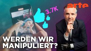 Social Media: Gefahr für die Gesellschaft? | Agree to Disagree! | ARTE