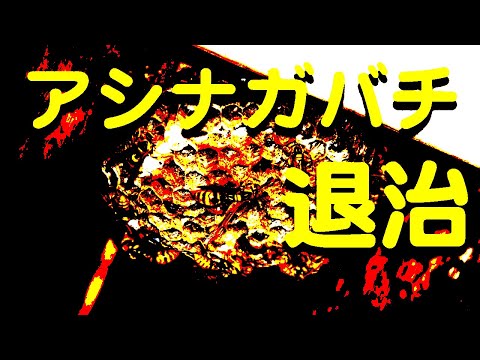 スズメバチに殺虫剤は効かない？効果があるCRC-556とは？ | イケてる男子のブレインミルク