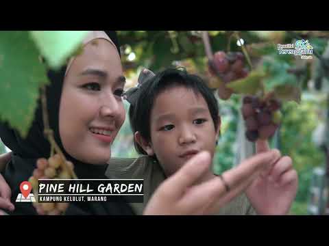 Marang Escapade