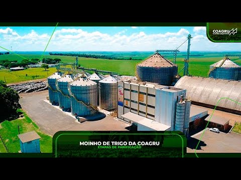 Coagru Informativo - Panificação do Moinho de Trigo