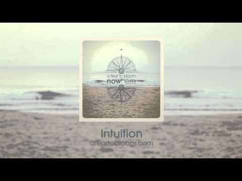 05 - Intuition