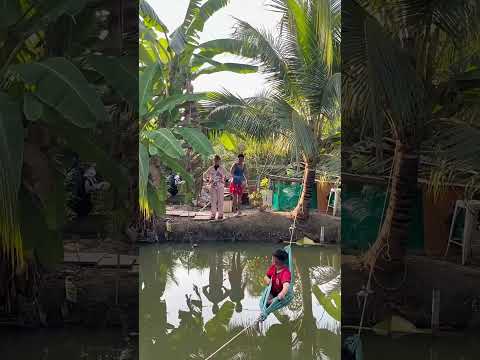 Cha mẹ hết thương con rồi #kayhuynh94 #kubo #giaitri #haihuoc #shorts  #viral #windnet