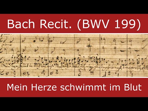 Video thumbnail for Mein Herze schwimmt im Blut